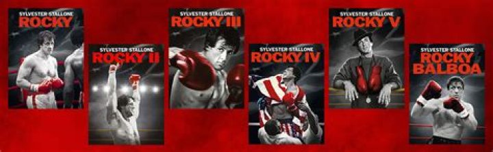 Brigitte Nielsen's Role In The Rocky Franchise: A Journey Through Fame