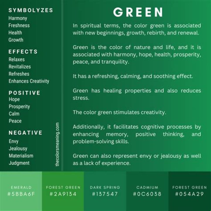 Exploring The Significance Of Green Colour In Our Lives