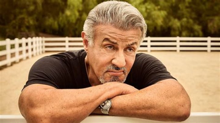 Sylvester Stallone's Impressive Net Worth: A Journey Through Wealth And Success